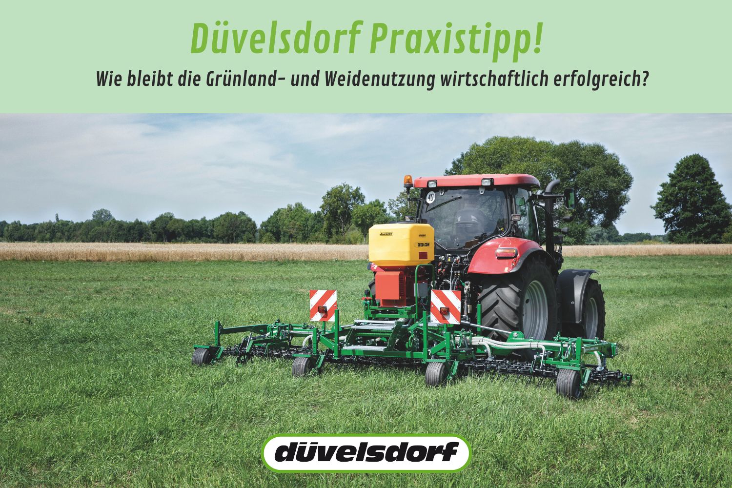 Blog Praxistipp Jan25 Post2 Zwischenfruechte Terra.roller Expert