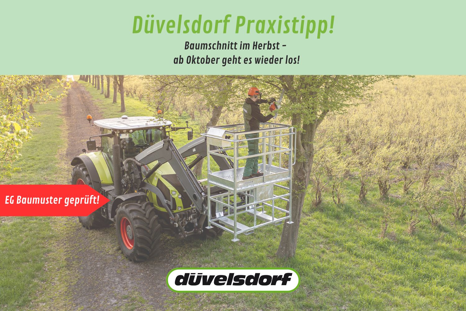 Blog Baumschnitt Im Herbst Arbeitsbuehne Beitrag 1500 X 1000 Px